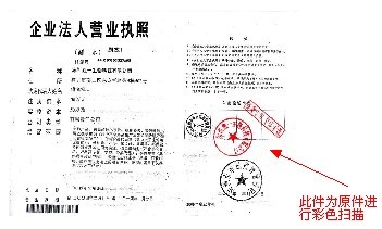 新塘网站建设 营业执照范本